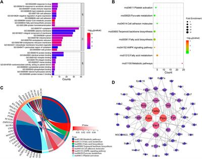 Transcriptomic analysis reveals pharmacological mechanisms mediating efficacy of Yangyinghuoxue Decoction in CCl4-induced hepatic fibrosis in rats